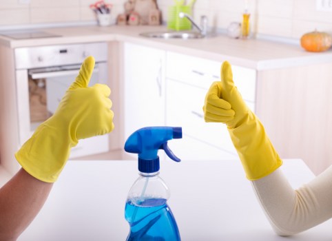 Professional pet stain odour removal in Stanmore on a carpeted living room floor