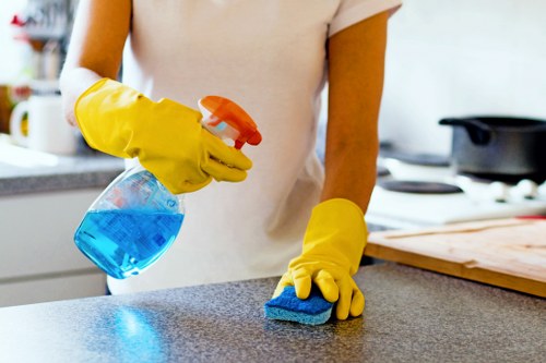 Professional stain removal in Stanmore for carpets and upholstery