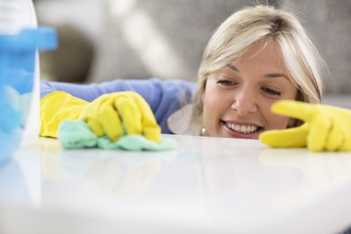 Enzyme-based pet stain odour removal process for carpets in a Stanmore home