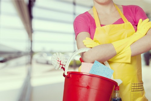 Cleaning products and equipment used by Stanmore carpet cleaning experts