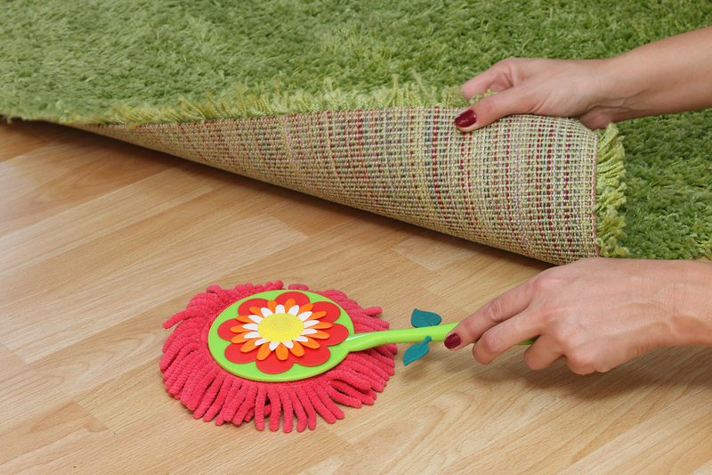Experience a Fresh Home by Tackling Pet Odors