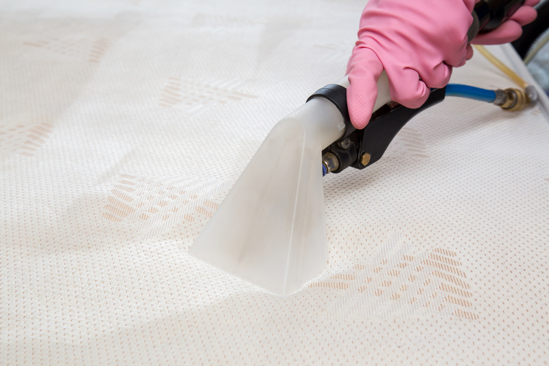 The Essential Guide to Maintaining Air Quality at Home